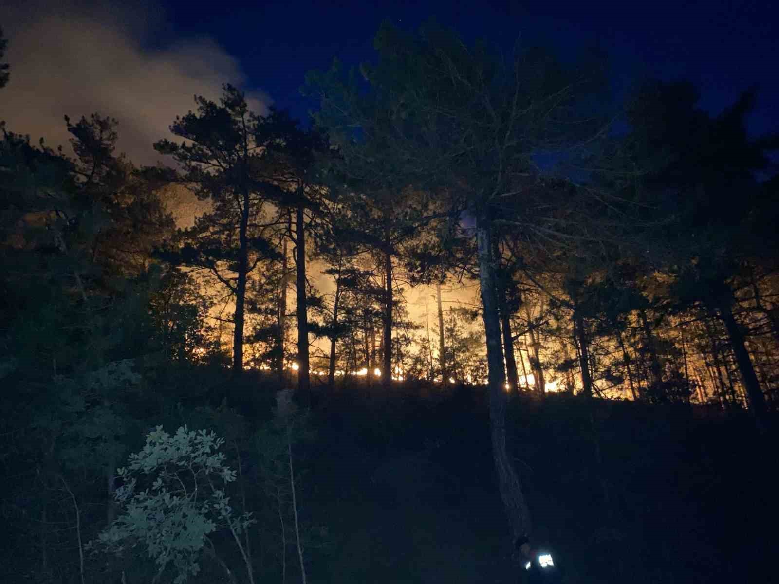 Bolu’daki orman yangını büyüyor: Karadan müdahale sürüyor 