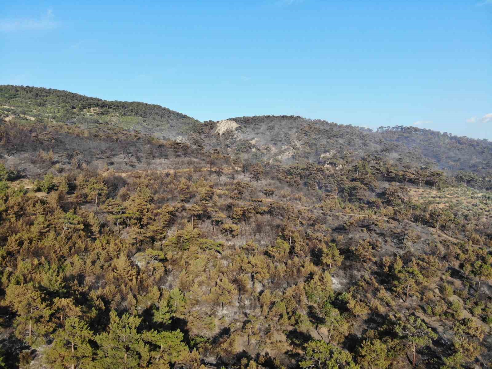 Havran’daki orman yangınında havadan müdahaleye ara verildi 