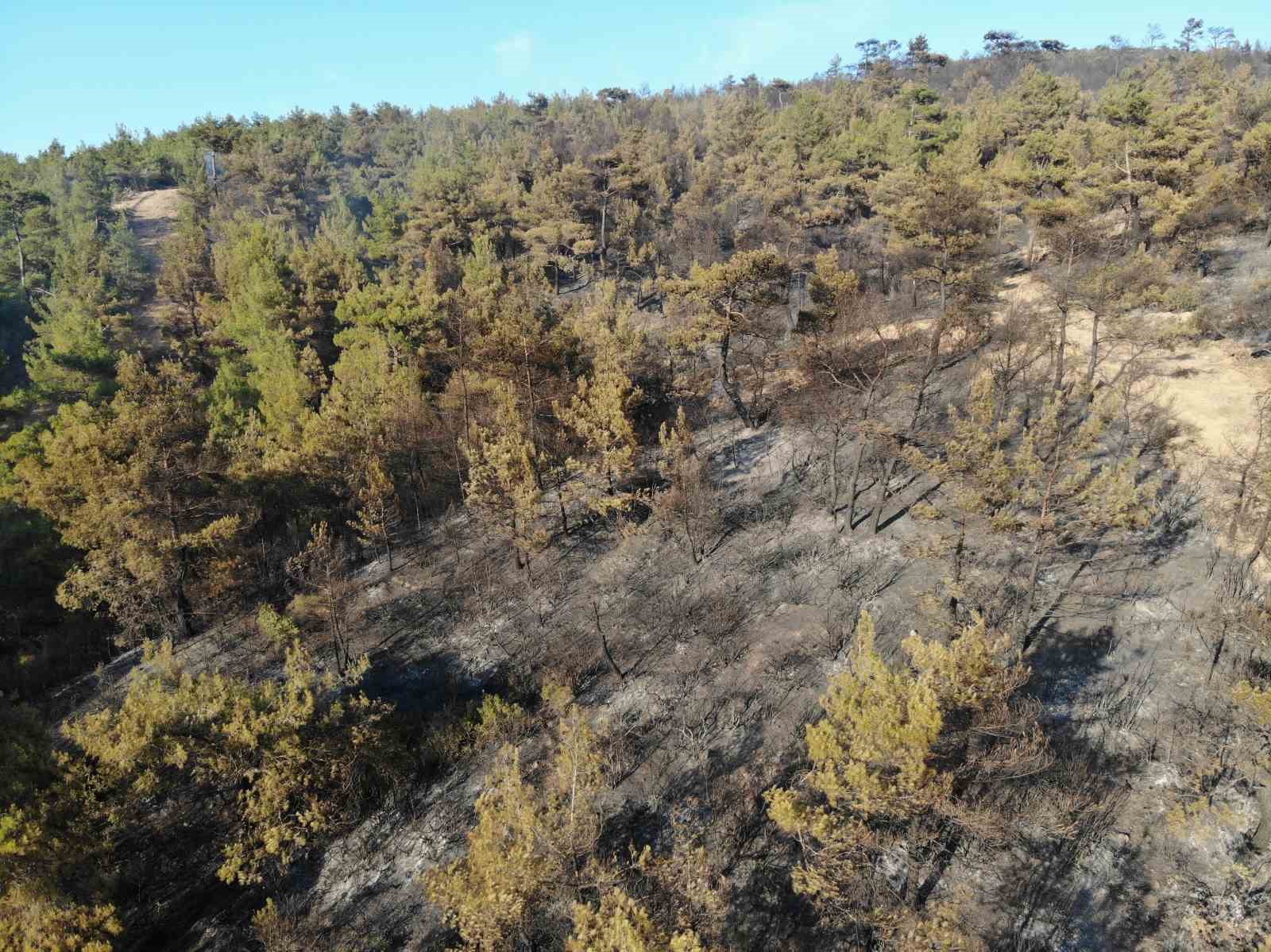 Havran’daki orman yangınında havadan müdahaleye ara verildi 