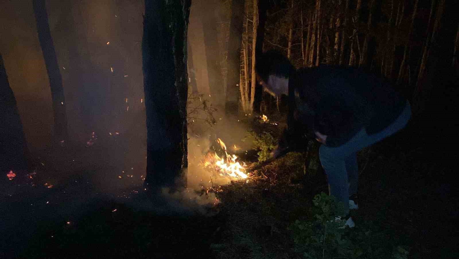 Bolu’daki orman yangını 8 saatte kontrol altına alındı 