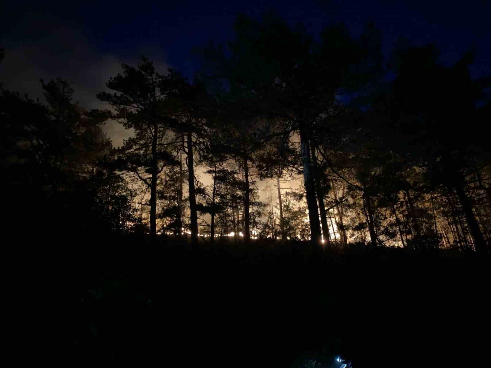 Bolu’daki orman yangını 8 saatte kontrol altına alındı 