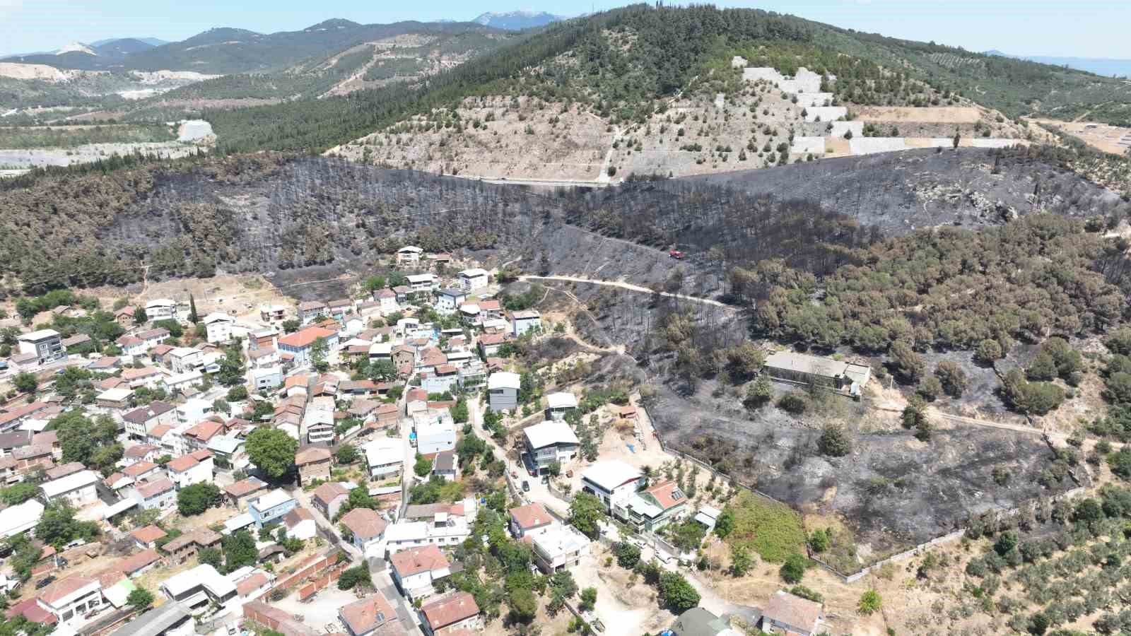 (Özel) Zümrüt yeşili orman manzaraları kömürlüğe döndü 