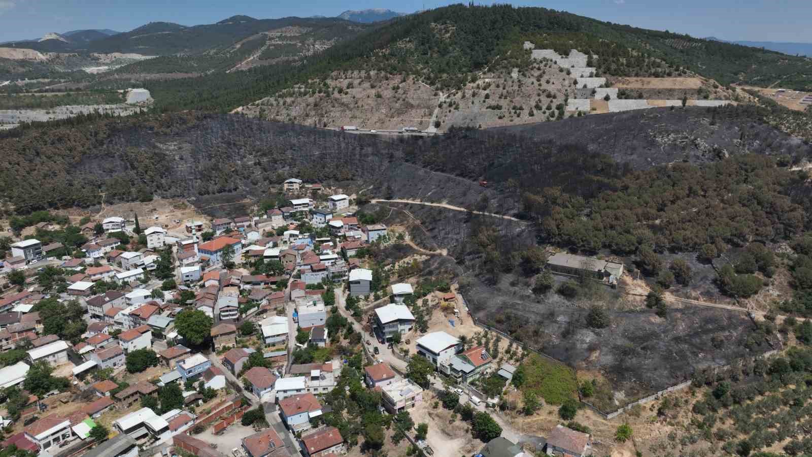 (Özel) Zümrüt yeşili orman manzaraları kömürlüğe döndü 