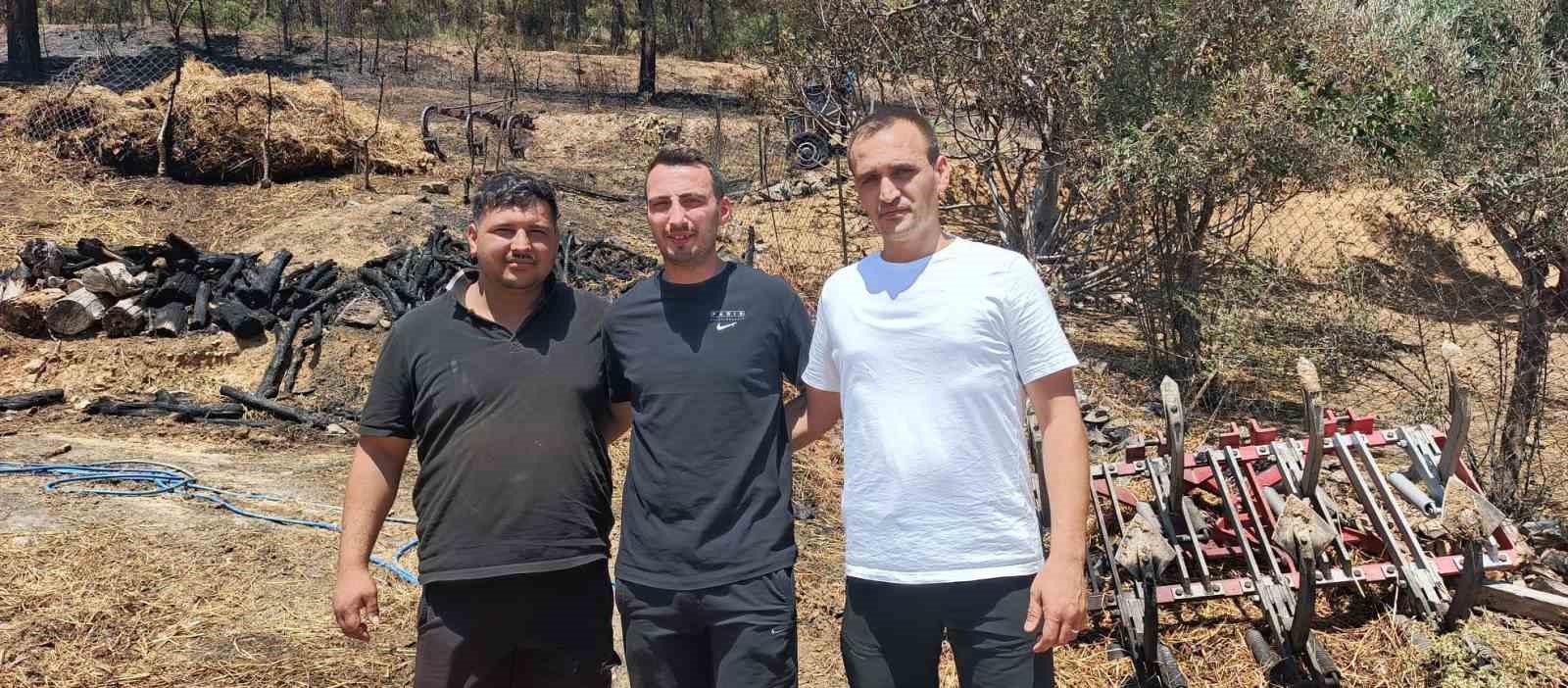 (Özel) Zümrüt yeşili orman manzaraları kömürlüğe döndü 