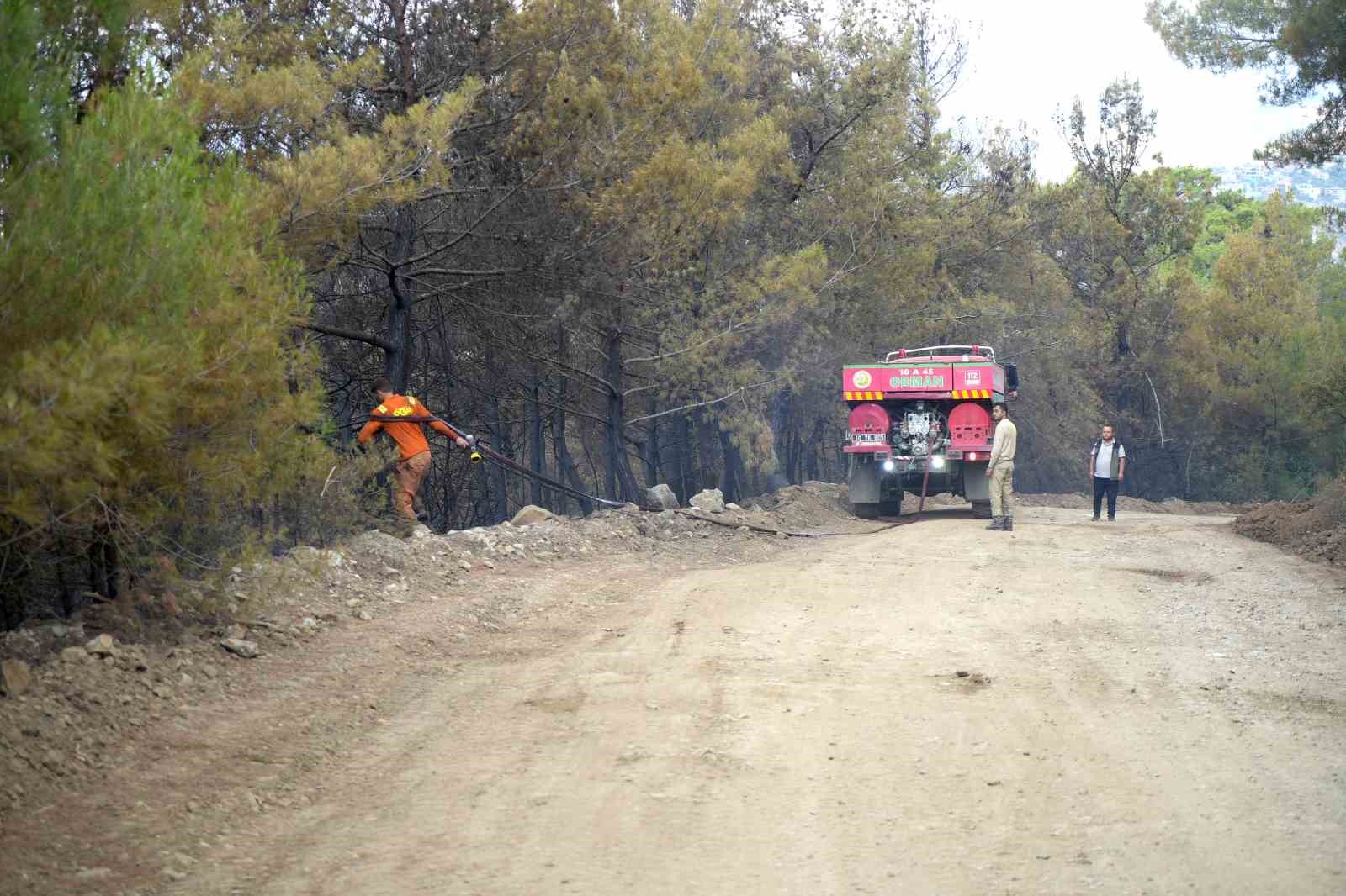 Balıkesir Havran’daki yangında havadan müdahale sabahın ilk ışıklarıyla tekrar başladı 