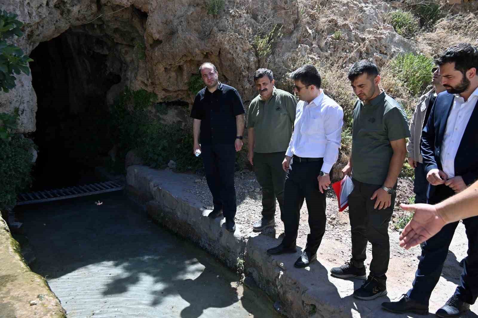 Derik Kaymakamı Bayraklı, zeytinliklerde yürütülen sulama çalışmalarını inceledi 