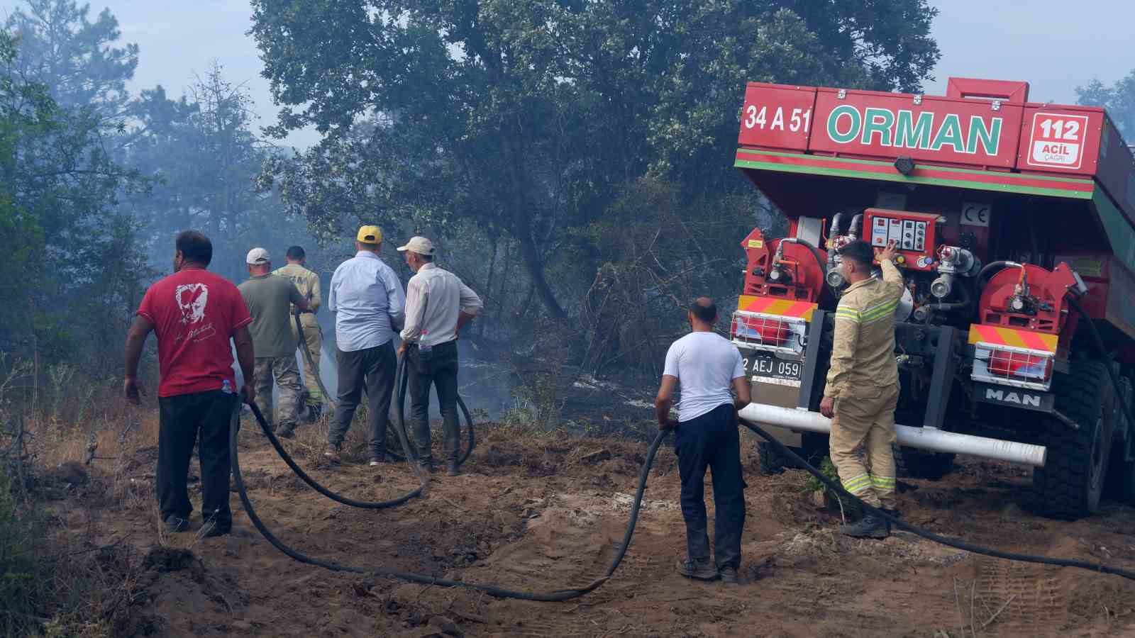 Edirne’de orman yangını: İstanbul, Tekirdağ, Kırklareli ve Edirne Orman ekipleri alarmda 
