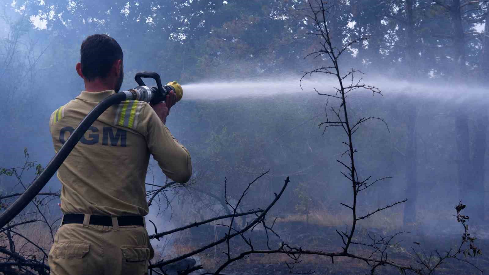 Edirne’de orman yangını: İstanbul, Tekirdağ, Kırklareli ve Edirne Orman ekipleri alarmda 