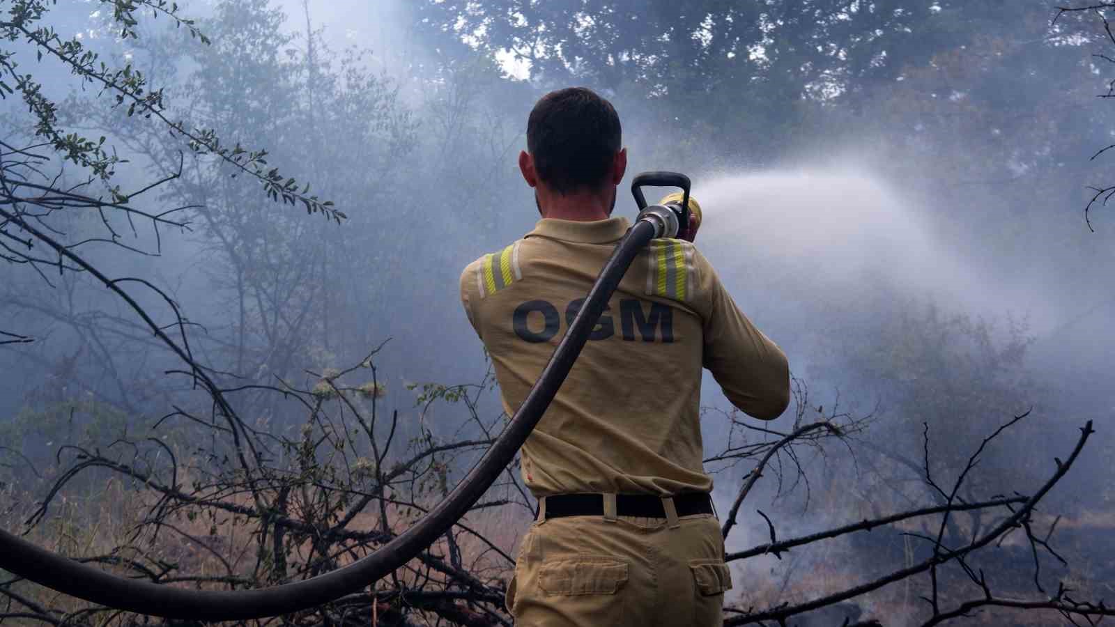 Edirne’de orman yangını: İstanbul, Tekirdağ, Kırklareli ve Edirne Orman ekipleri alarmda 