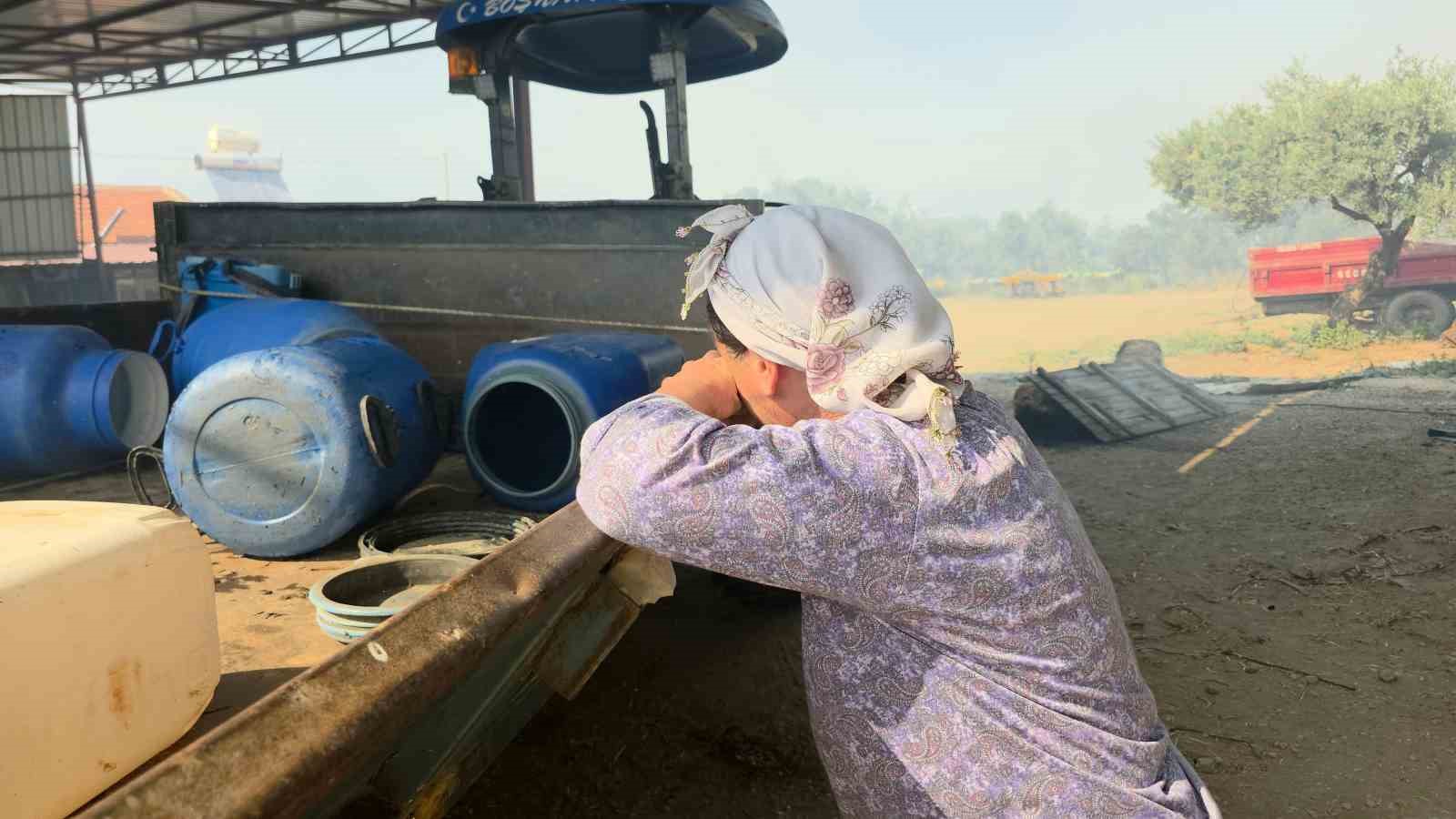 Tire’de makilik alandaki yangın köye sıçradı, bazı evler ve damlar küle döndü 