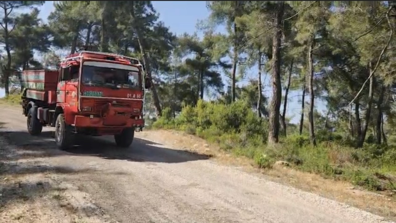 Osmaniye’de çıkan orman yangını söndürüldü 