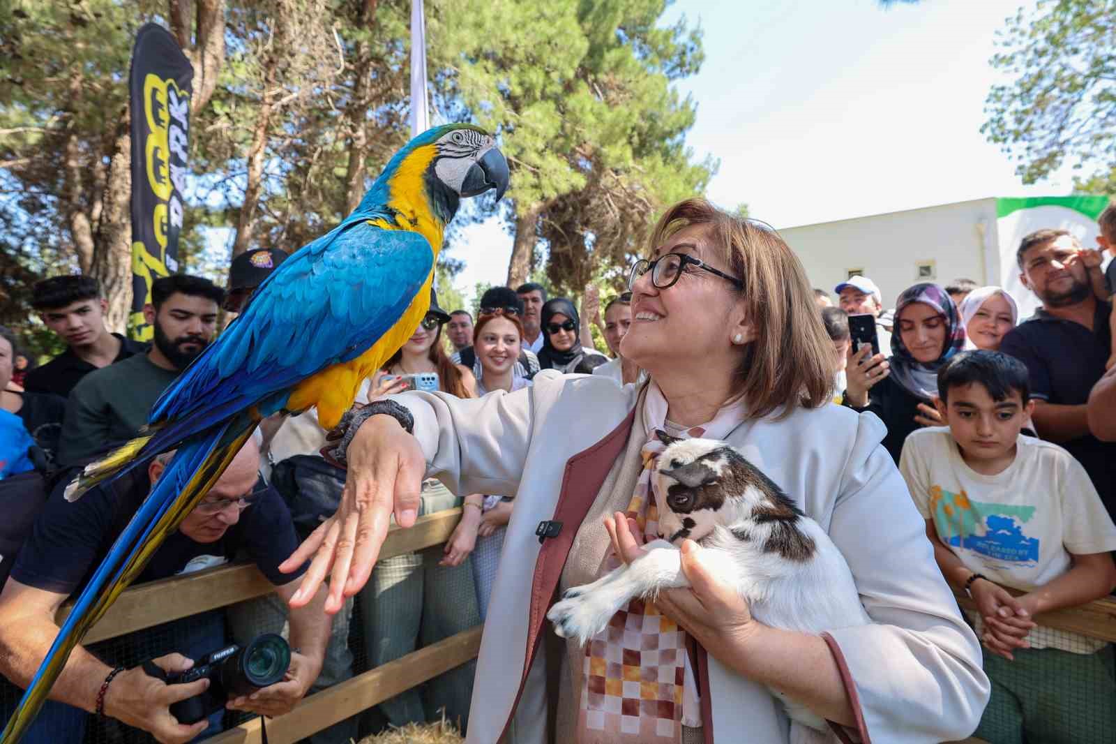 Cumhurbaşkanı Erdoğan’a hediye edilen aslanların üç yavrusu doğdu 