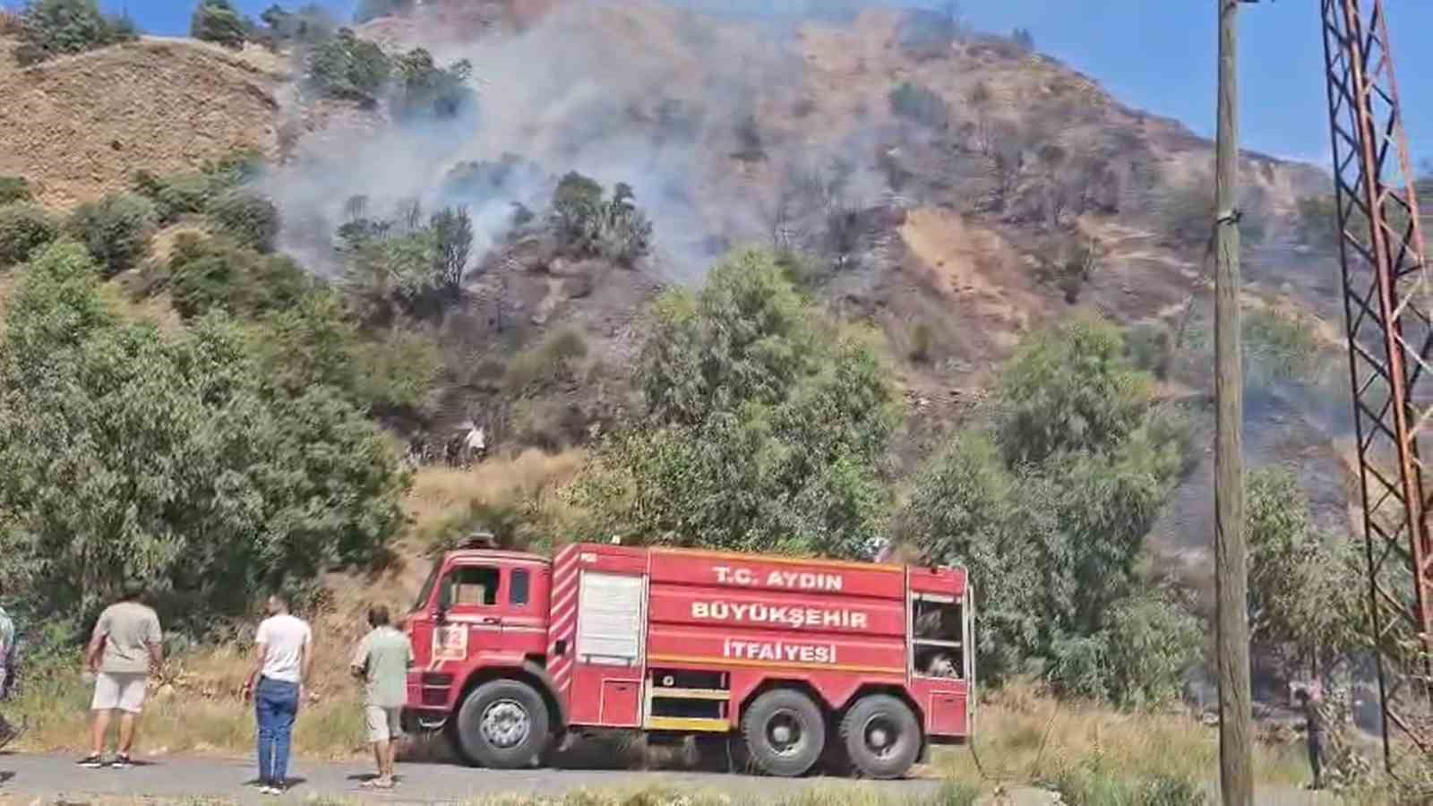 Aydın’daki yangınlar kontrol altına alındı 