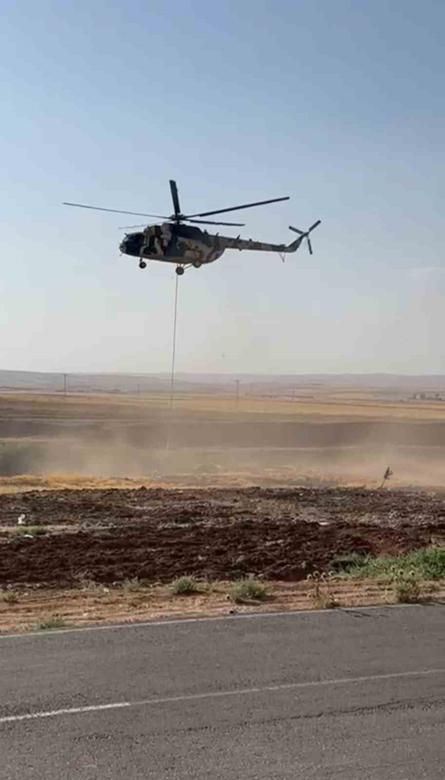 Mardin’de orman yangını 