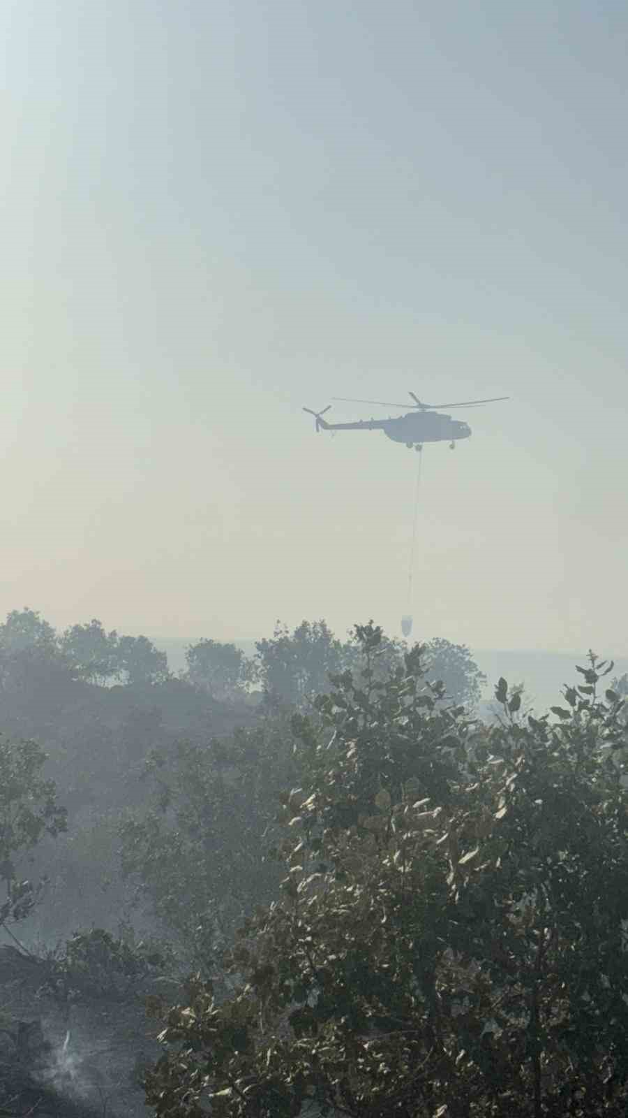 Mardin’de orman yangını 