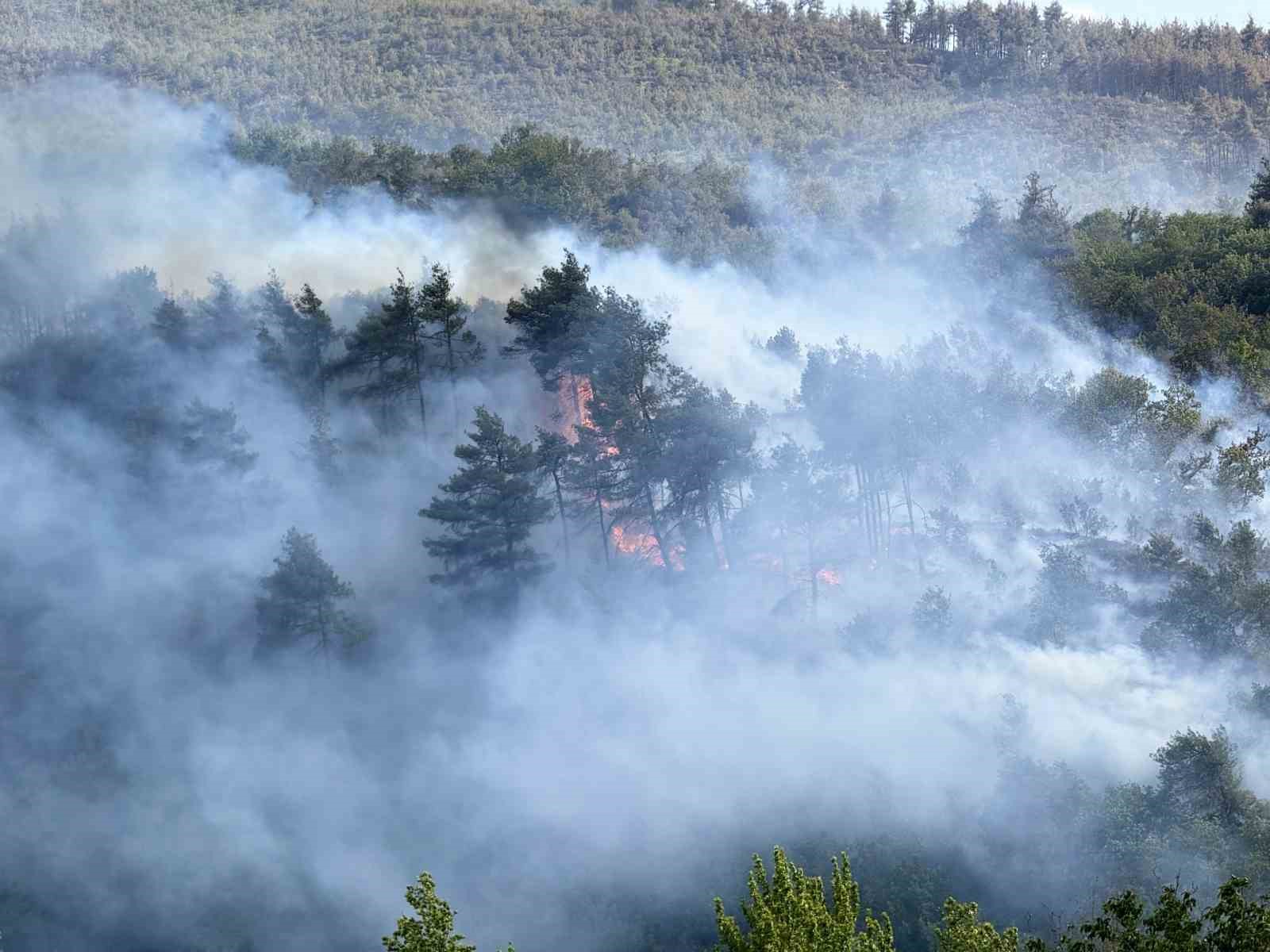 Sakarya’da ormanda yeniden yükselen alevlere havadan ve karadan müdahale edildi 