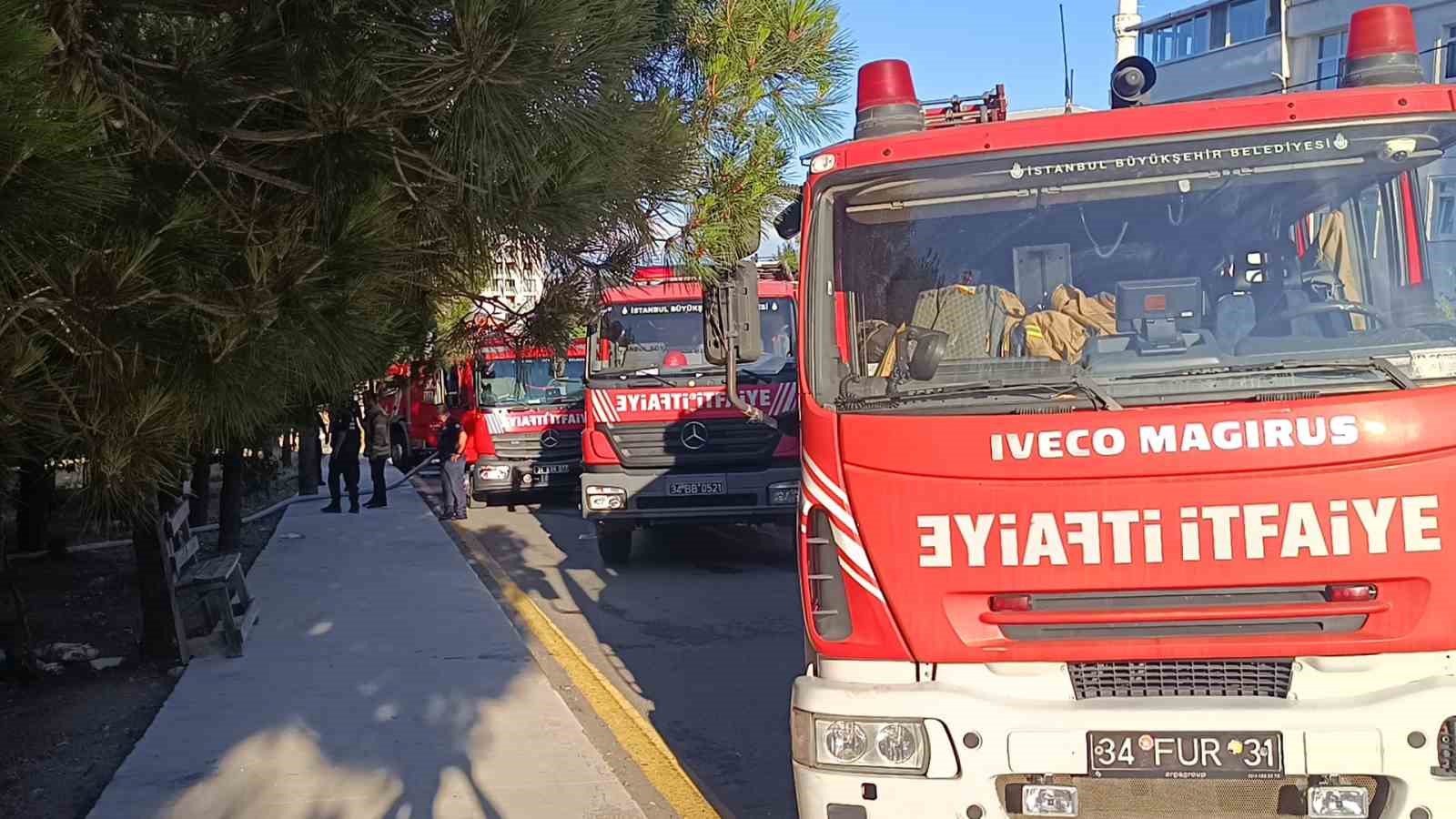 Pendik’te ormanlık alanda çıkan yangın söndürüldü 