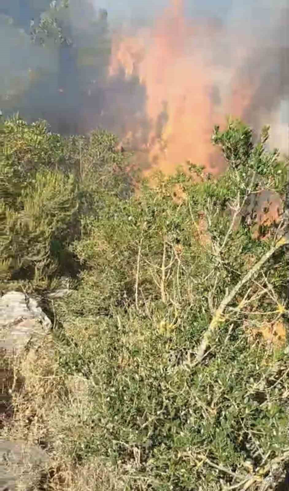Pendik’te ormanlık alanda çıkan yangın söndürüldü 