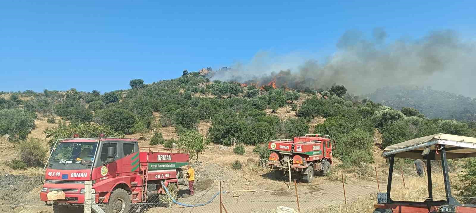 Aydın’da makilik alandaki yangın kontrol altına alındı 