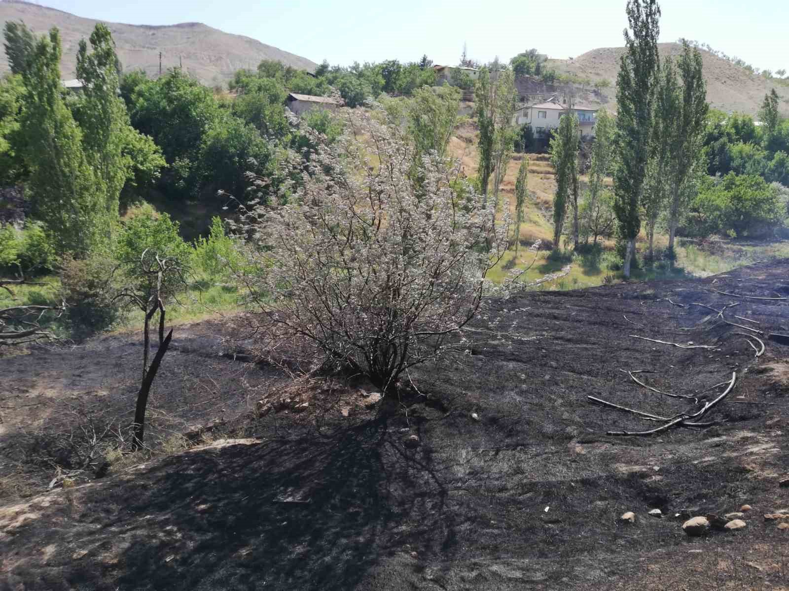 Malatya’da ot yangını 