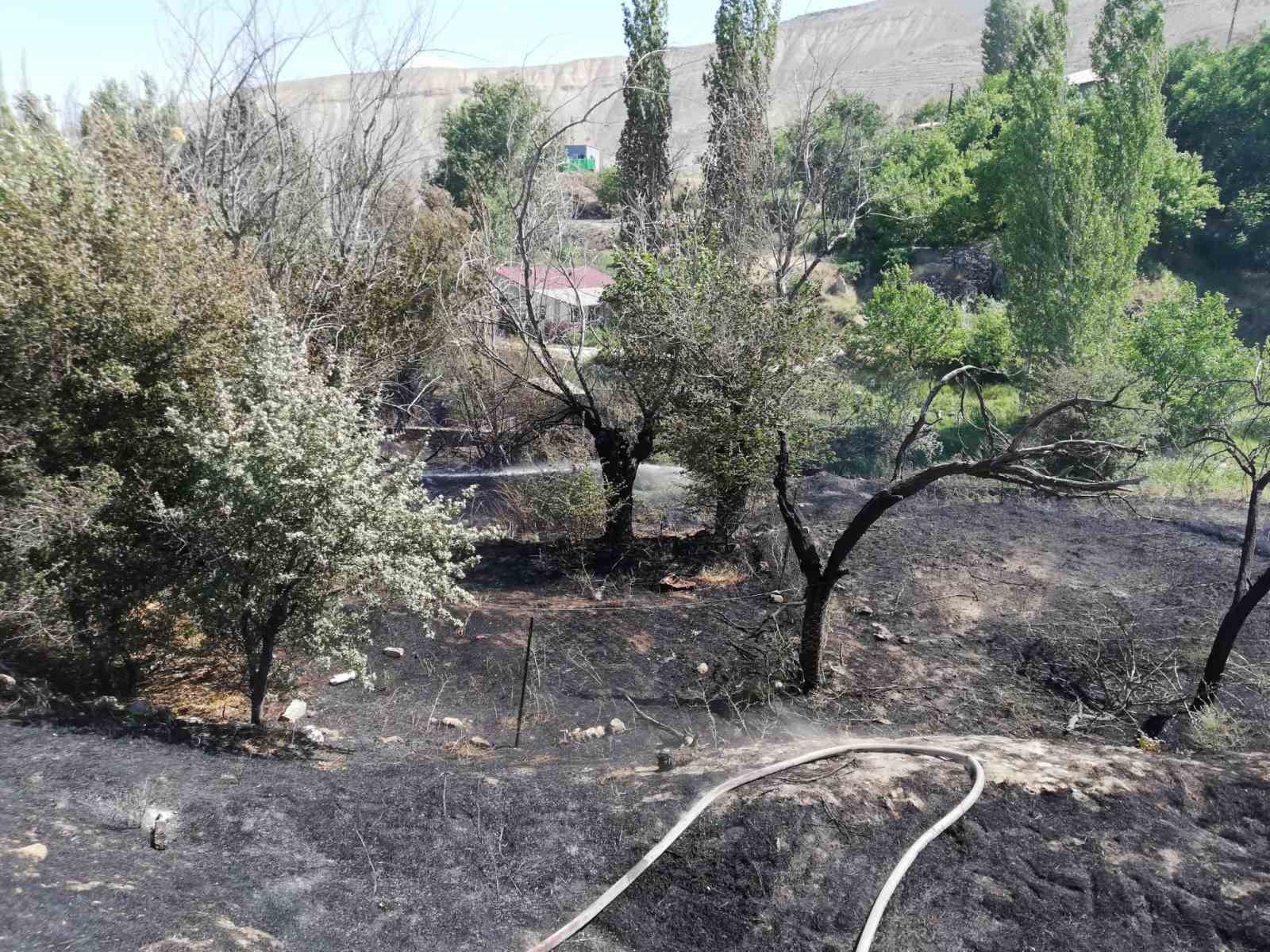 Malatya’da ot yangını 
