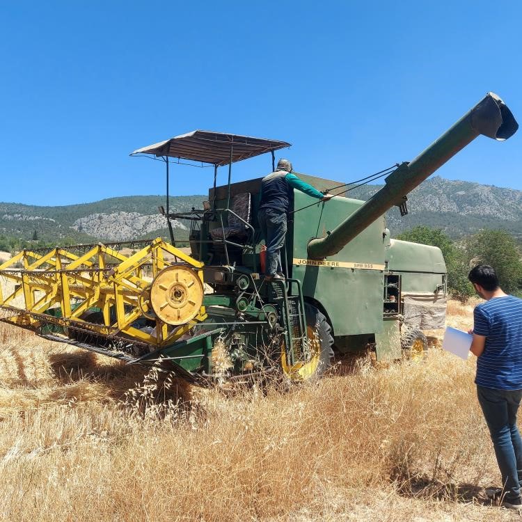 Gölpazarı’nda hasat ve biçerdöver denetimleri sürüyor 