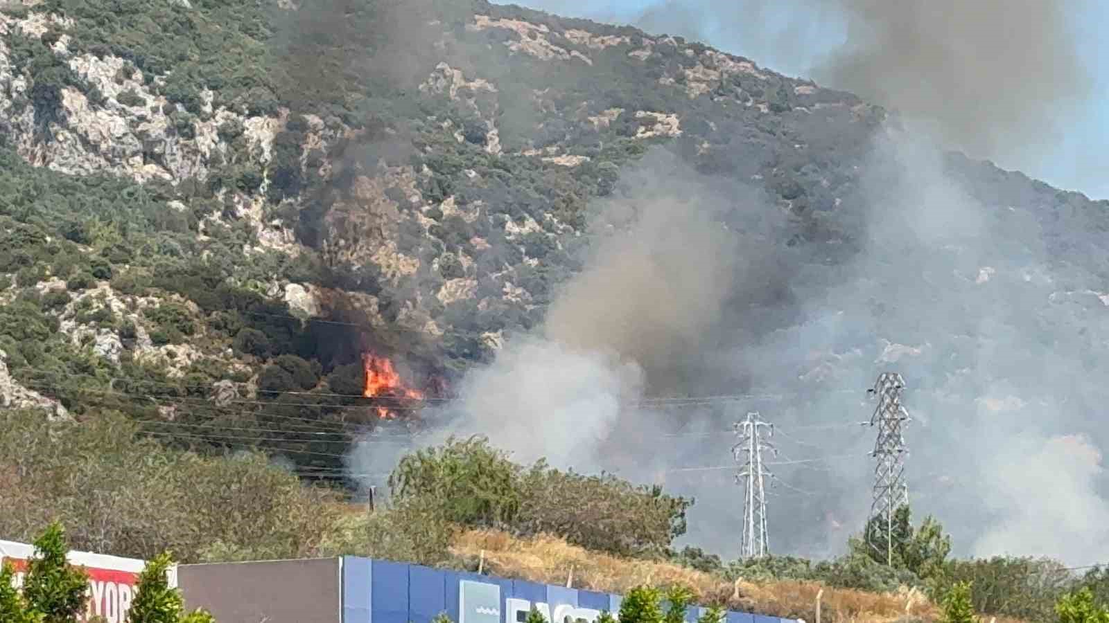 Bodrum’da makilik ve ormanlık alanda yangın çıktı