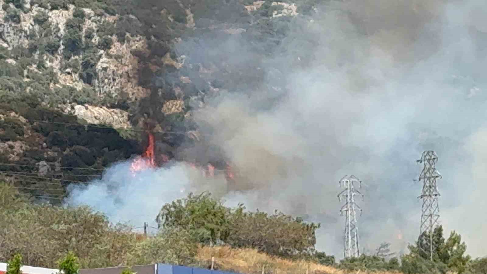 Bodrum’da makilik ve ormanlık alanda yangın çıktı 