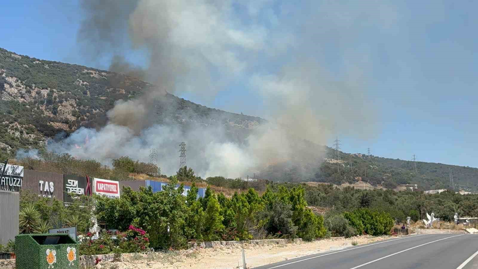 Bodrum’da makilik ve ormanlık alanda yangın çıktı 