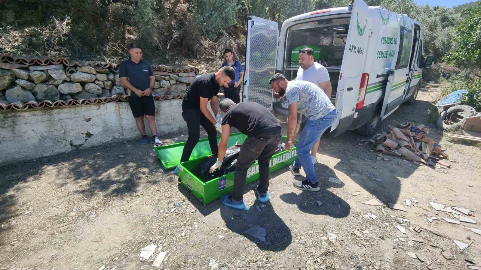 Mandalina bahçesinde ölü olarak bulundu 