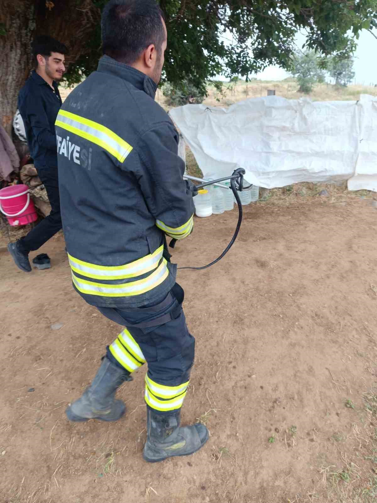Çadıra giren yılan paniğe neden oldu 