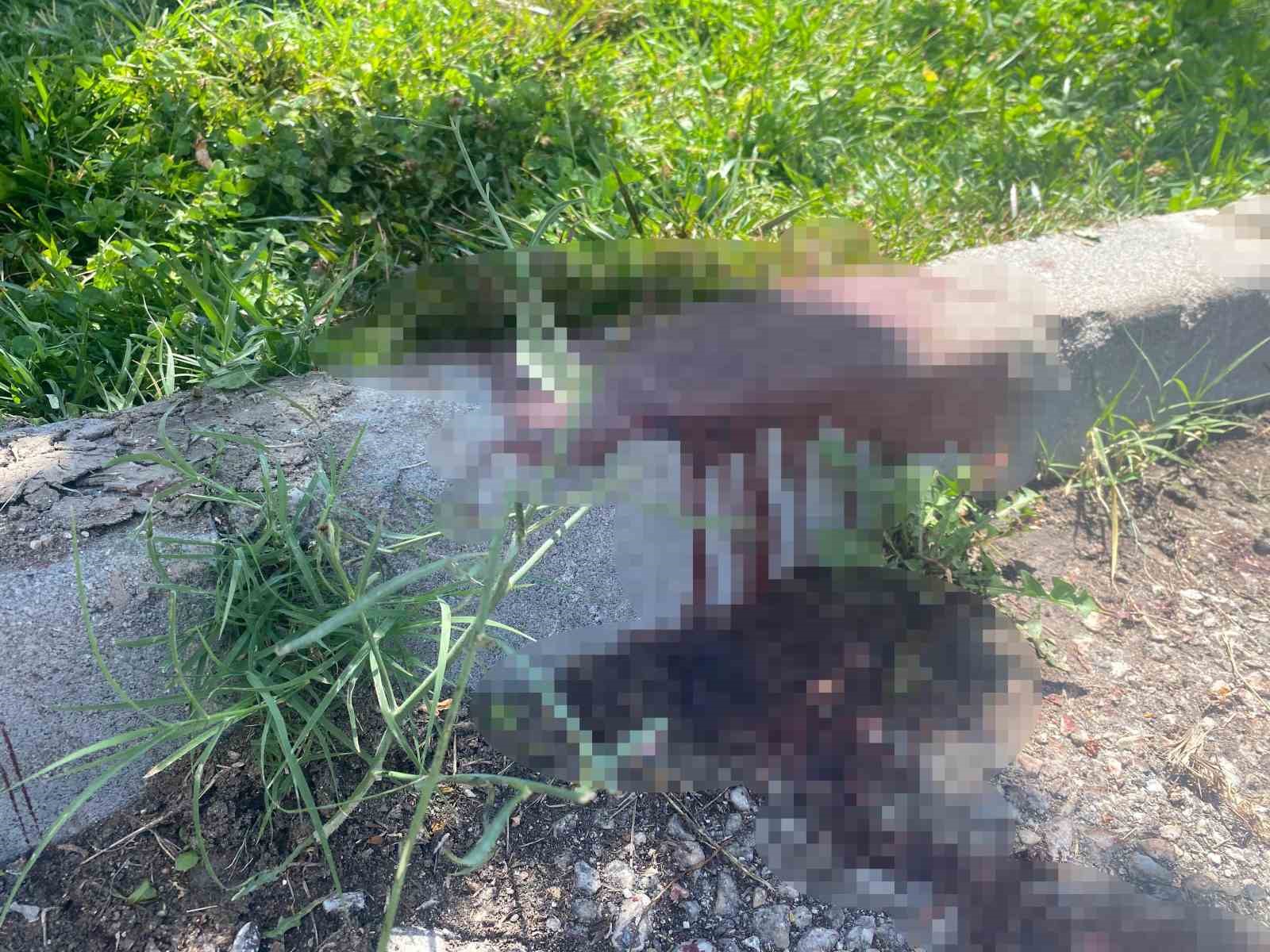 Ankara’da polis memurunun öldürüldüğü kavgada 3 kişi gözaltına alındı 