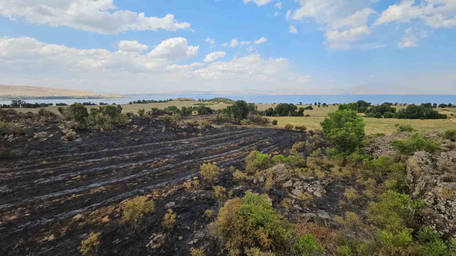 Tatvan’da çıkan yangında 50 dönümlük alan küle döndü 