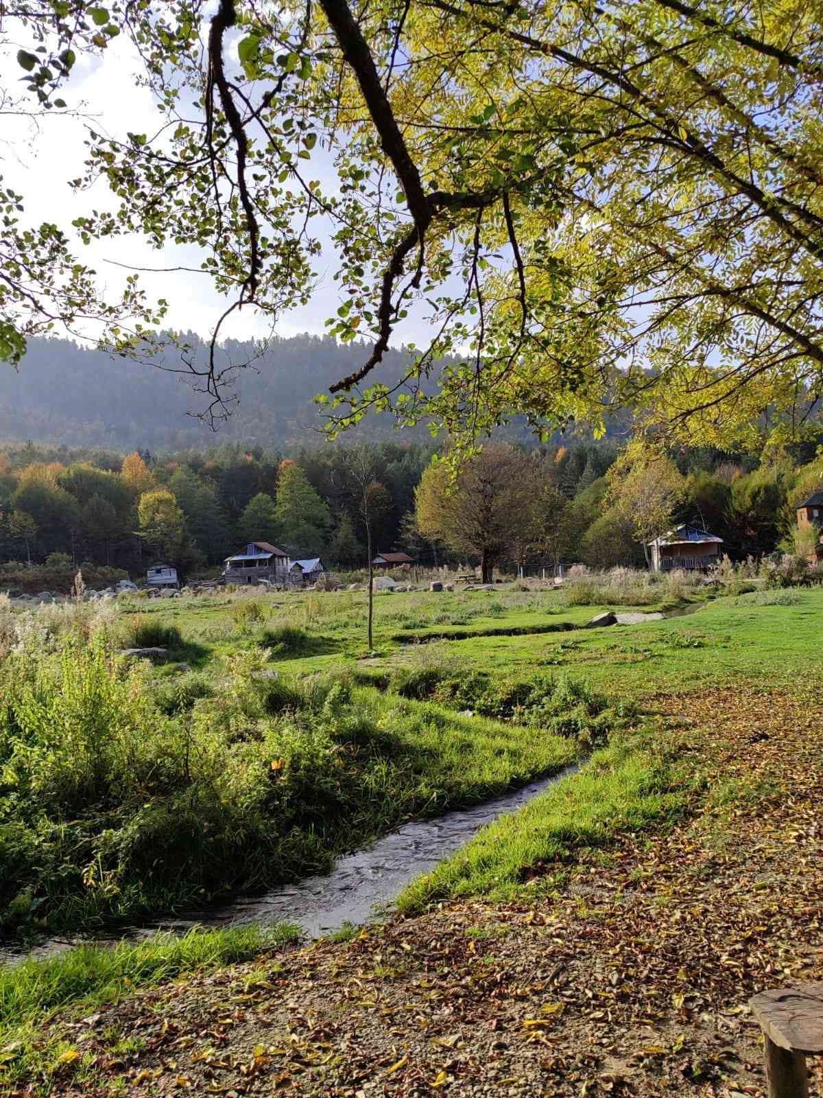 Zonguldak ormanlarda ateş yakılması yasaklandı 