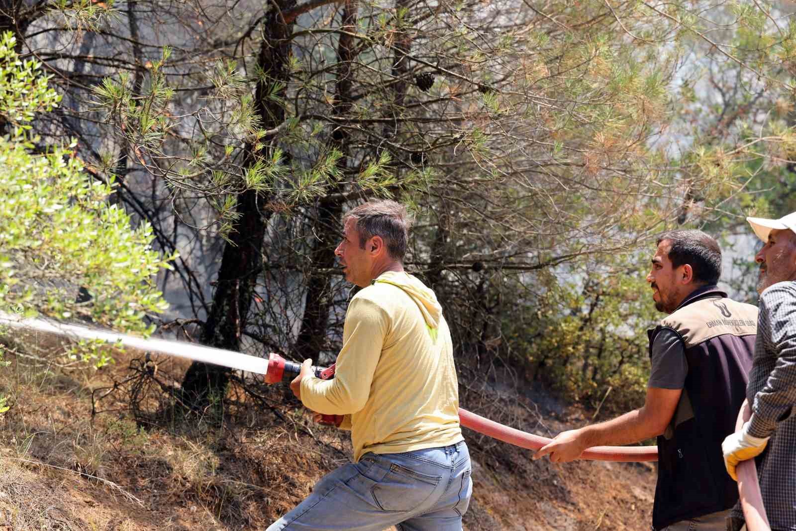 Taraklı’daki orman yangınına ilişkin gözaltına alınanlar serbest bırakıldı 