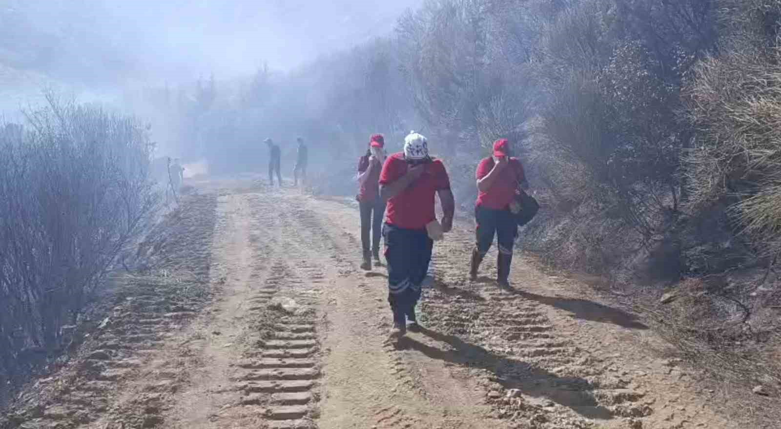 Sultanhisar yangını kontrol altına alındı 
