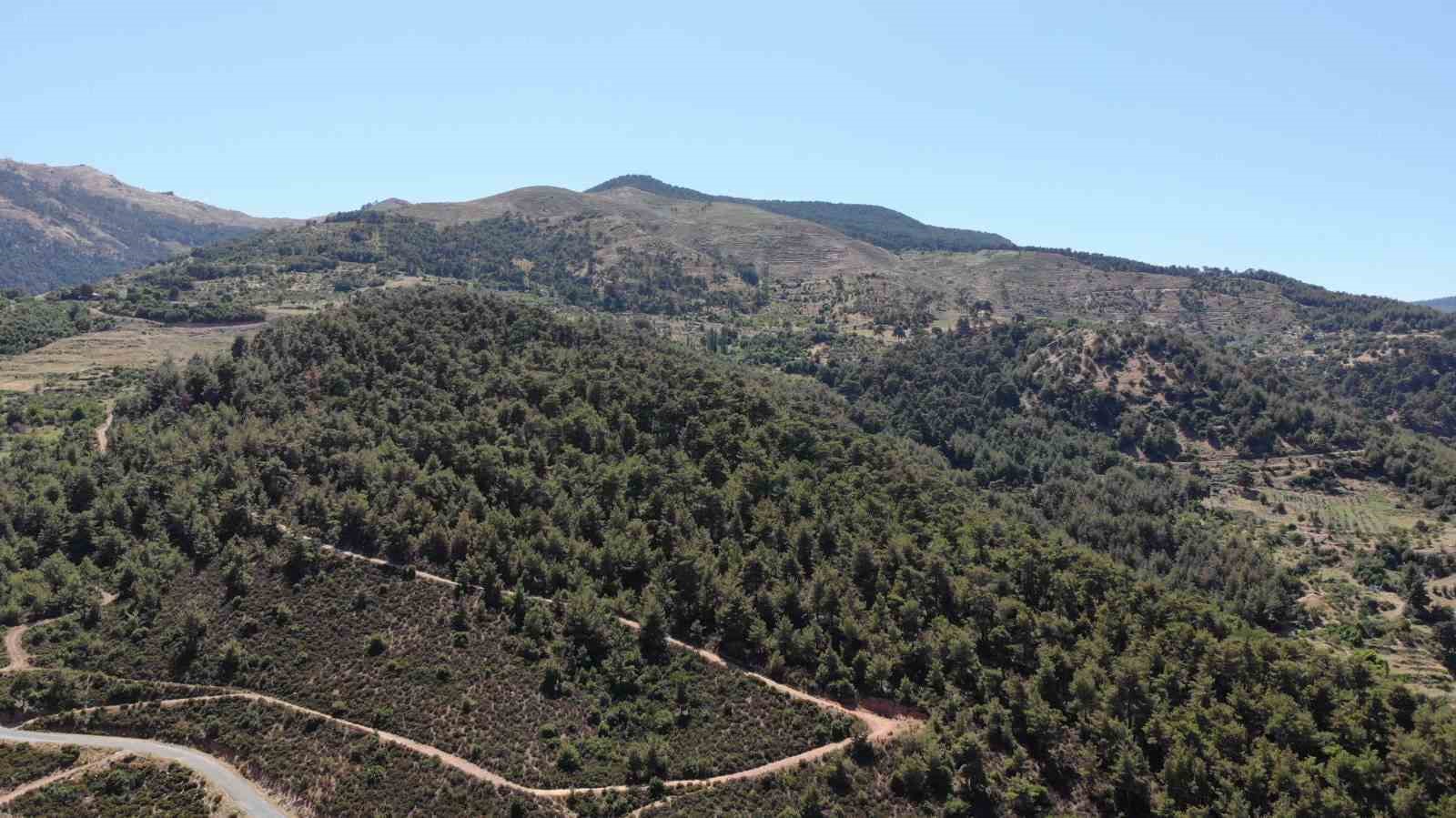 Karacasu Kaymakamlığı’ndan yangın uyarısı 