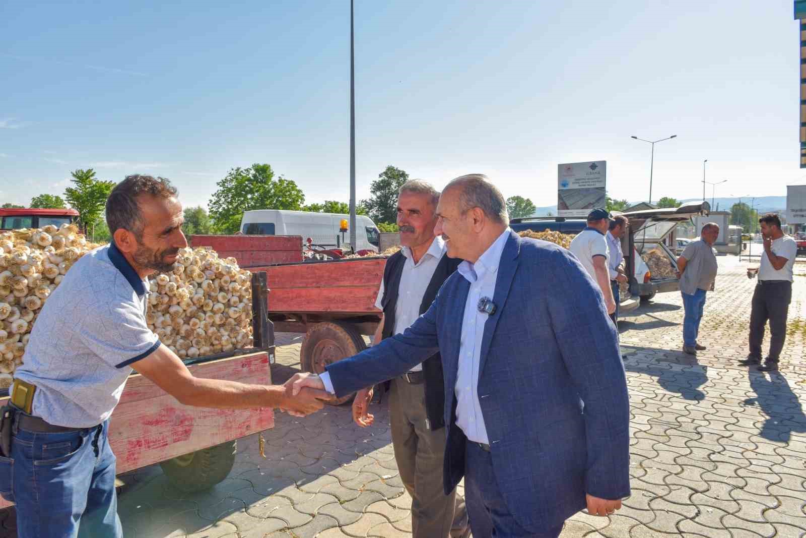 Coğrafi işaretli Taşköprü sarımsağı pazara indi 
