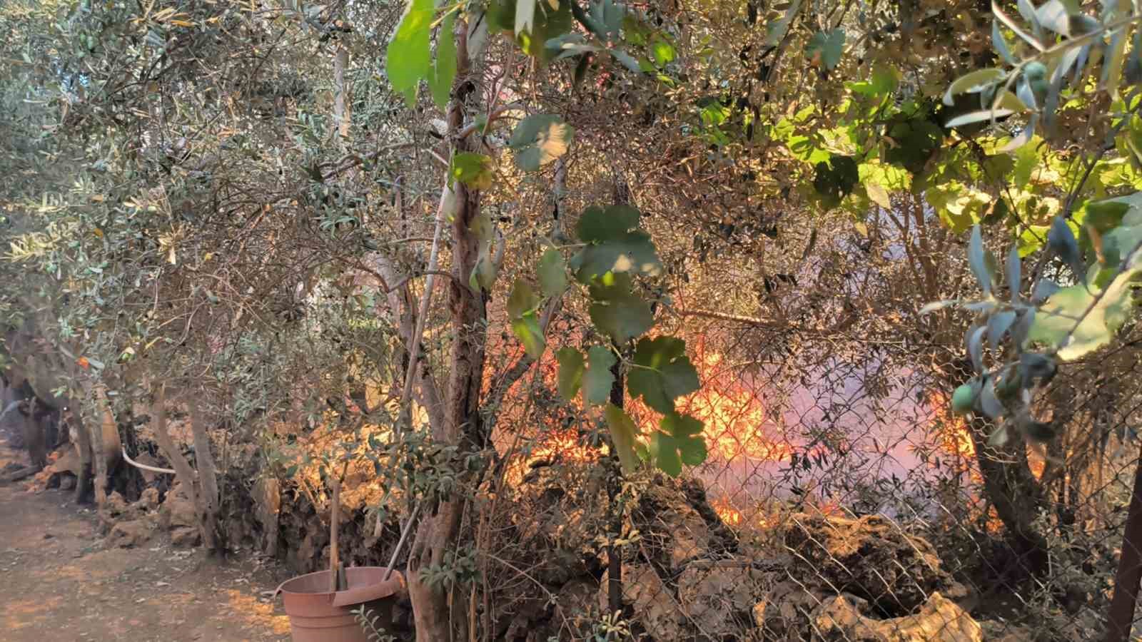 Farklı noktalarda çıkan otluk ve ağaçlık yangını evlere birkaç metre kala söndürüldü 