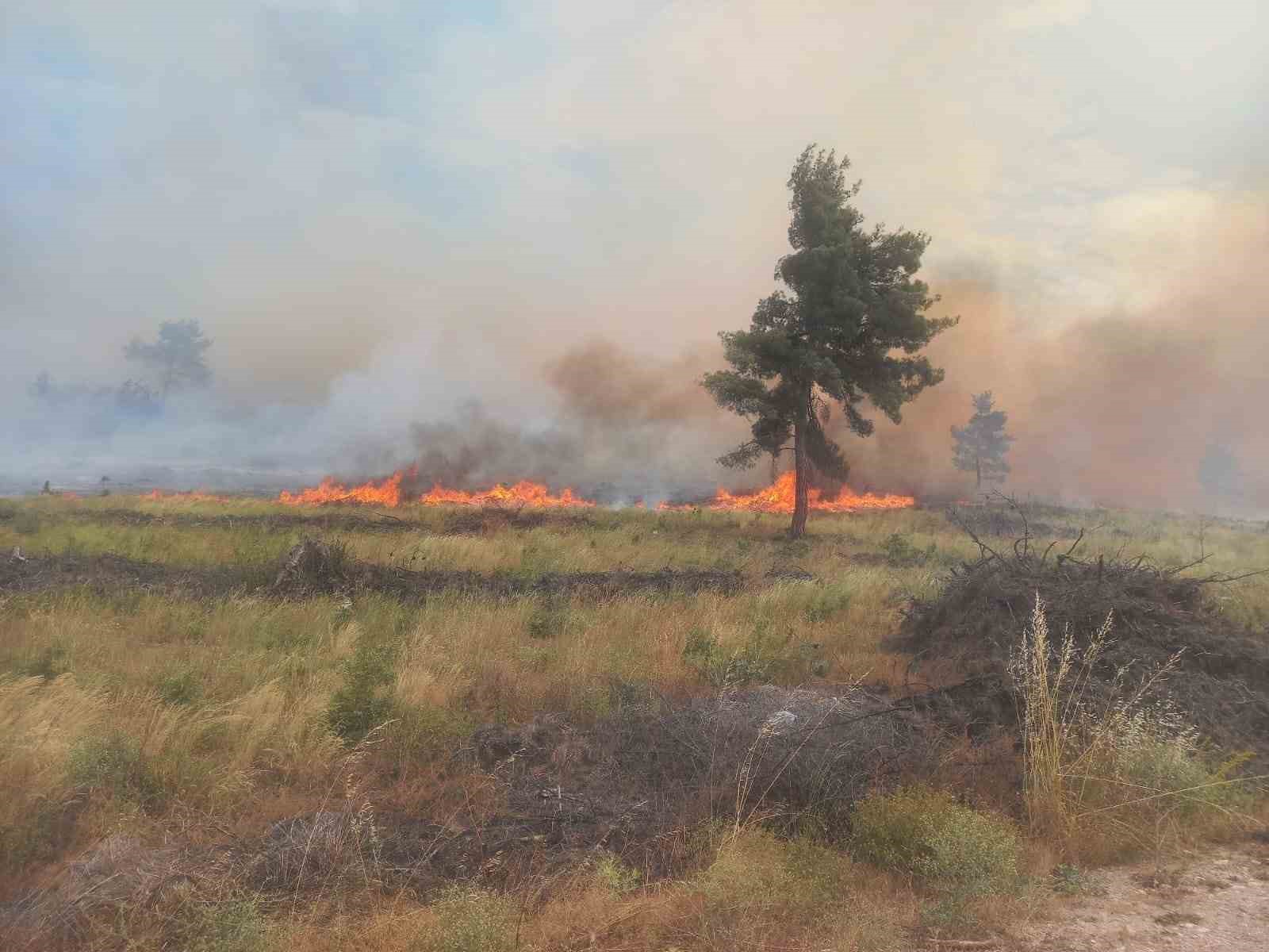 Bilecik’te orman yangını başladı 