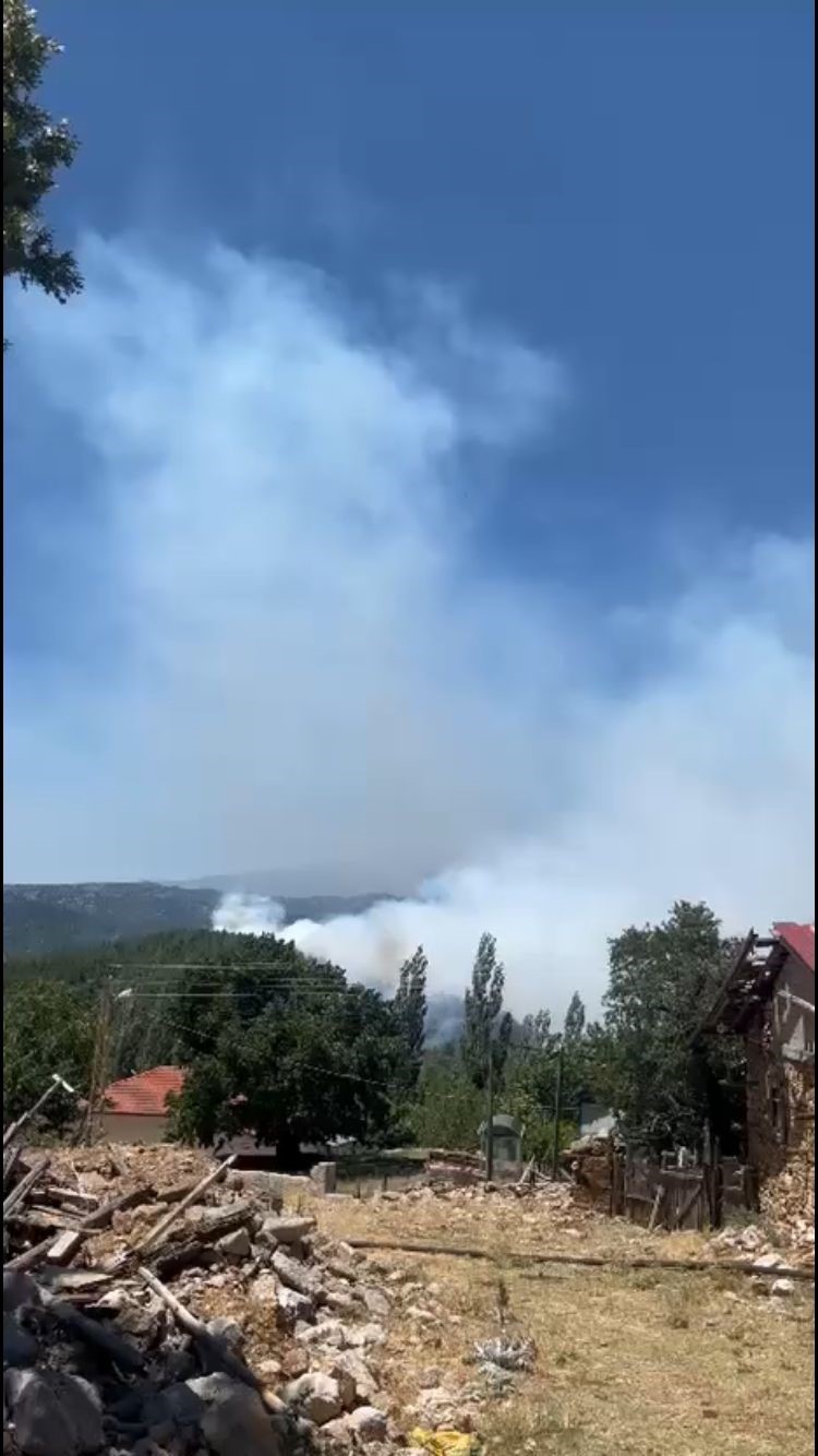 Isparta’daki orman yangını kontrol altına alındı 