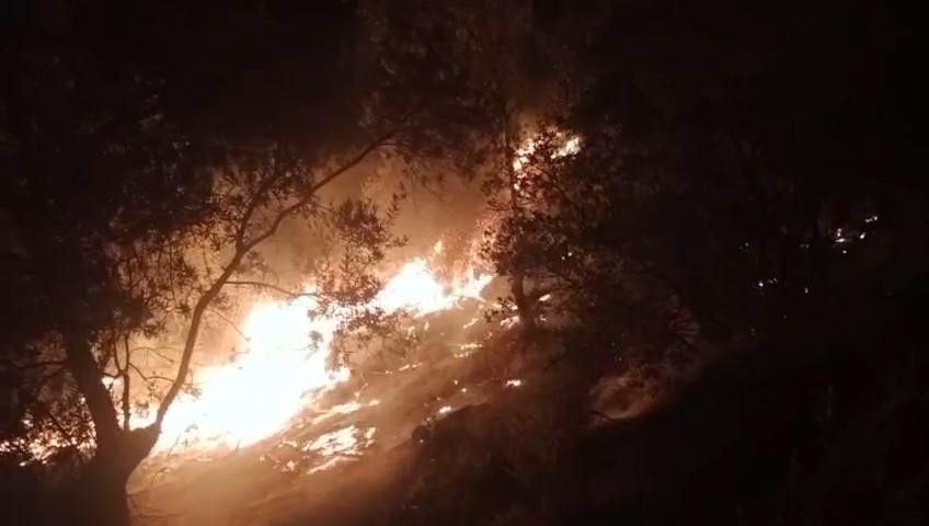 Balıkesir’de zeytinlik alanda çıkan yangına ekipler müdahale ediyor 