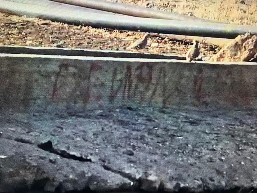 Yaban hayvanlarına can suyu 