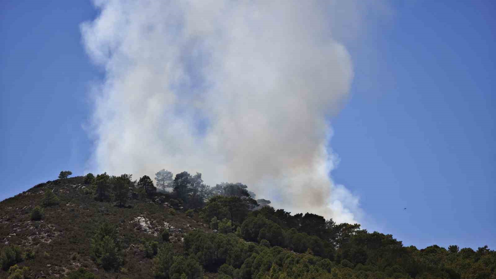 Gazipaşa’da ormanlık alanda yangın 