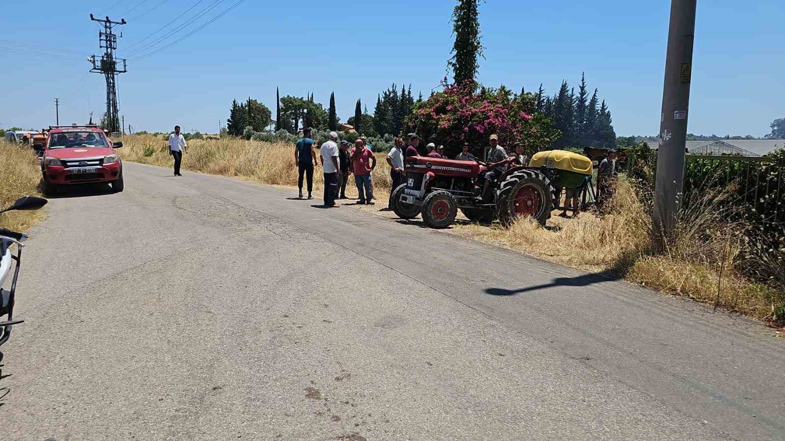 Antalya’da çıkan yangında palmiye ağaçları küle döndü 