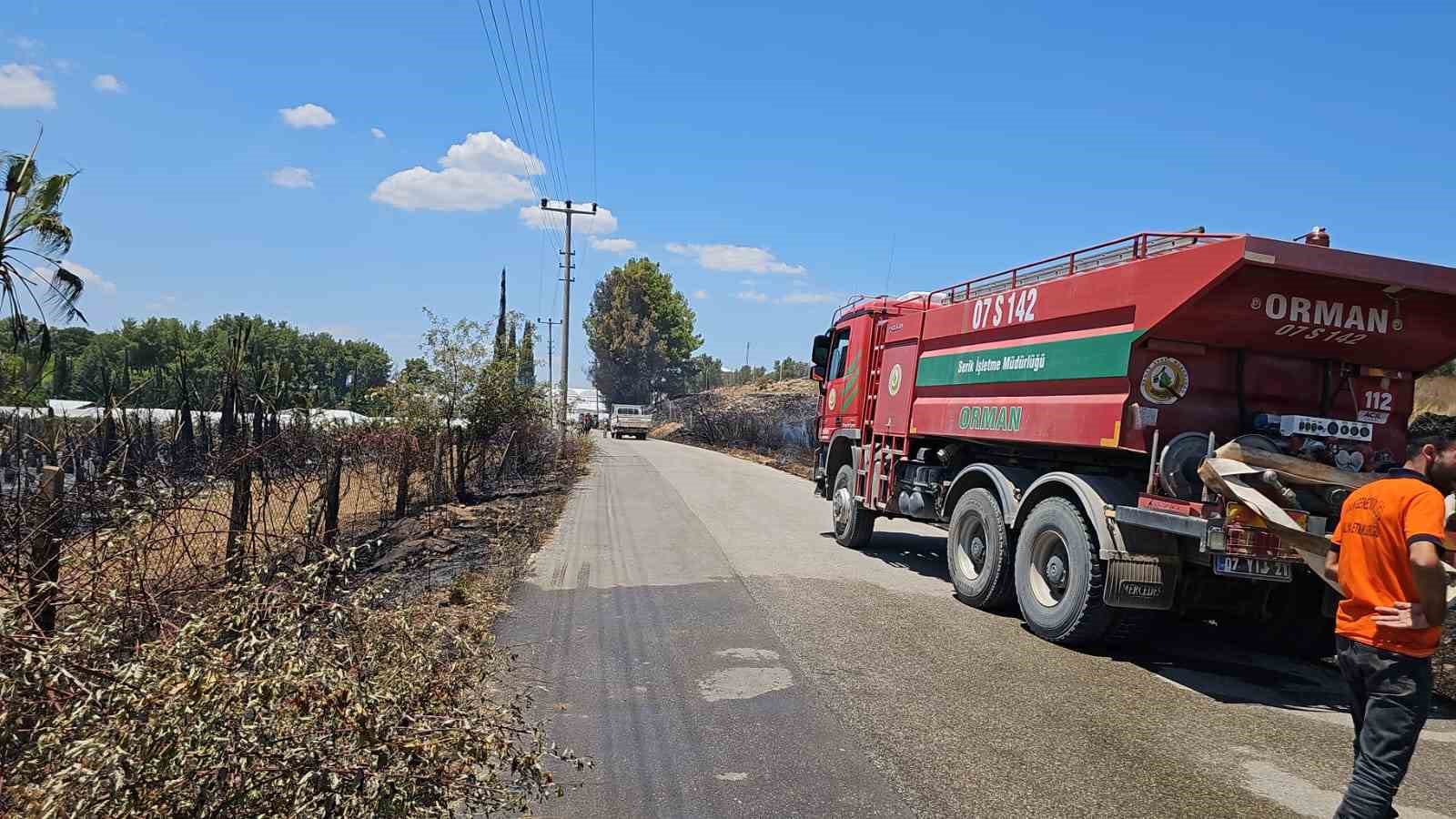 Antalya’da çıkan yangında palmiye ağaçları küle döndü 