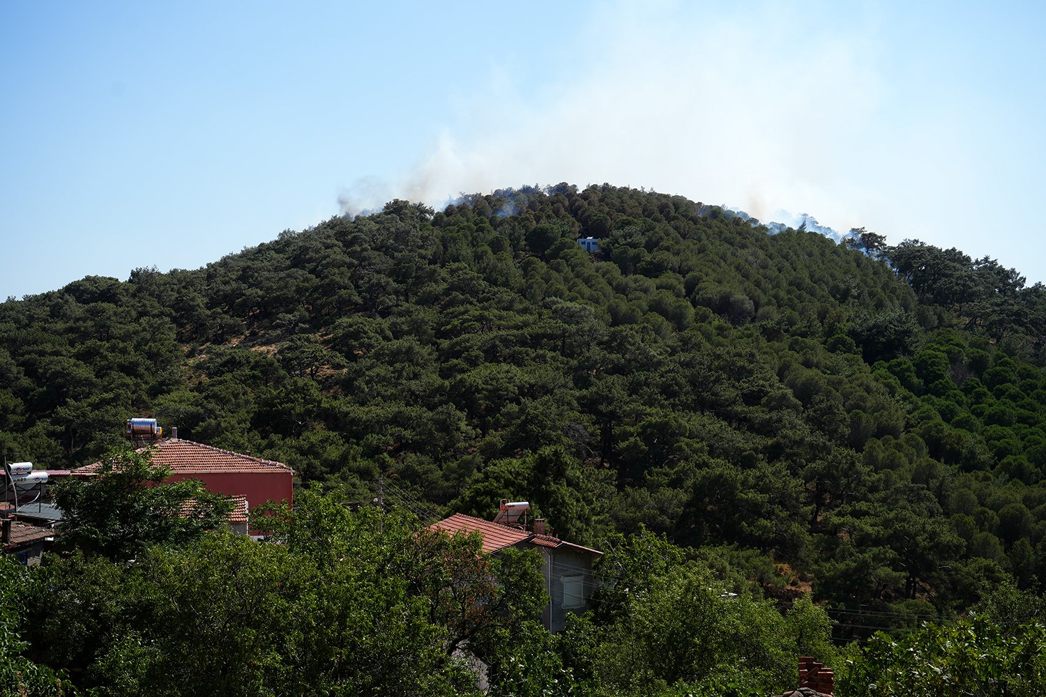 Burhaniye’de orman yangınına havadan ve karadan müdahale ediliyor 