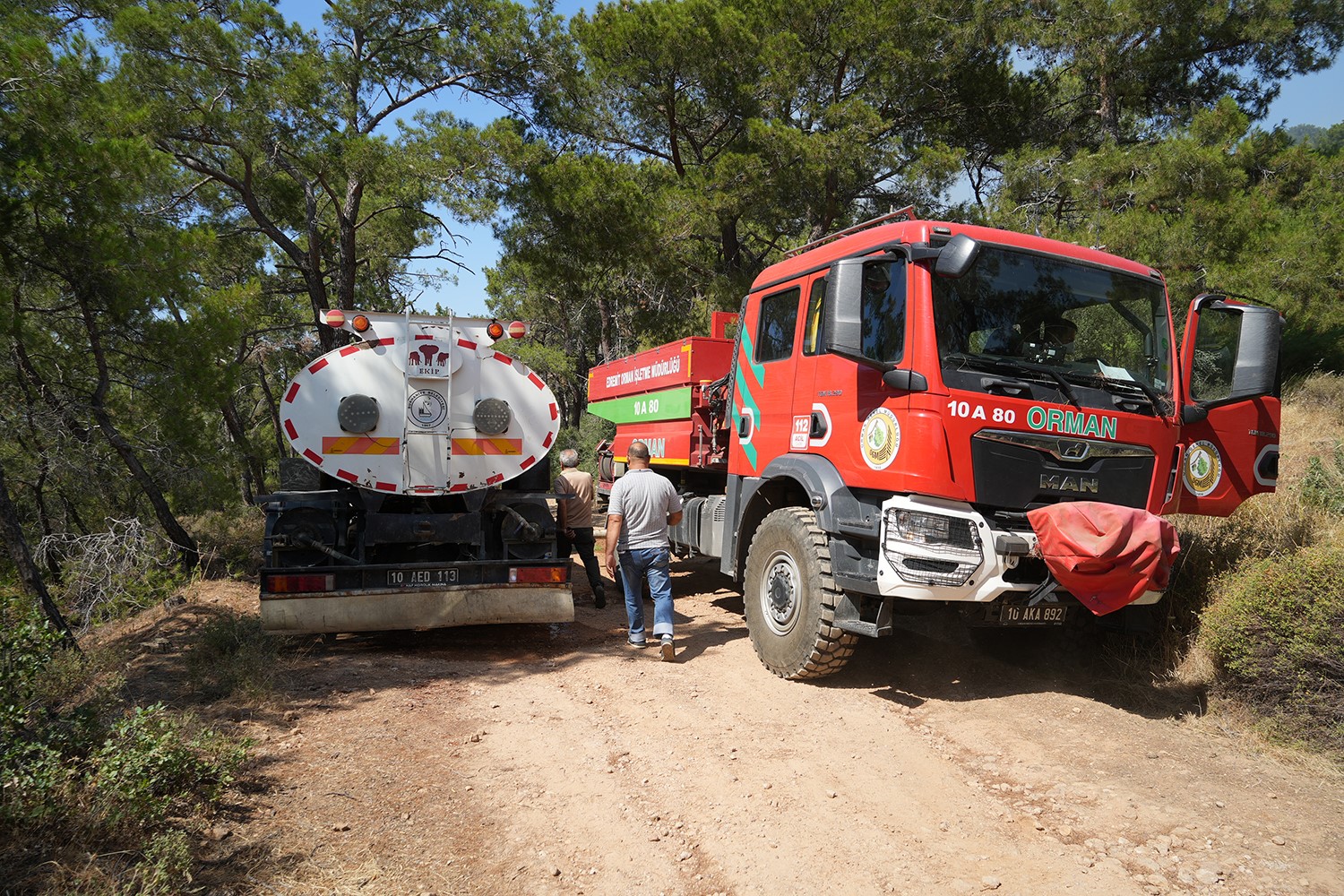 Burhaniye’de orman yangınına havadan ve karadan müdahale ediliyor 