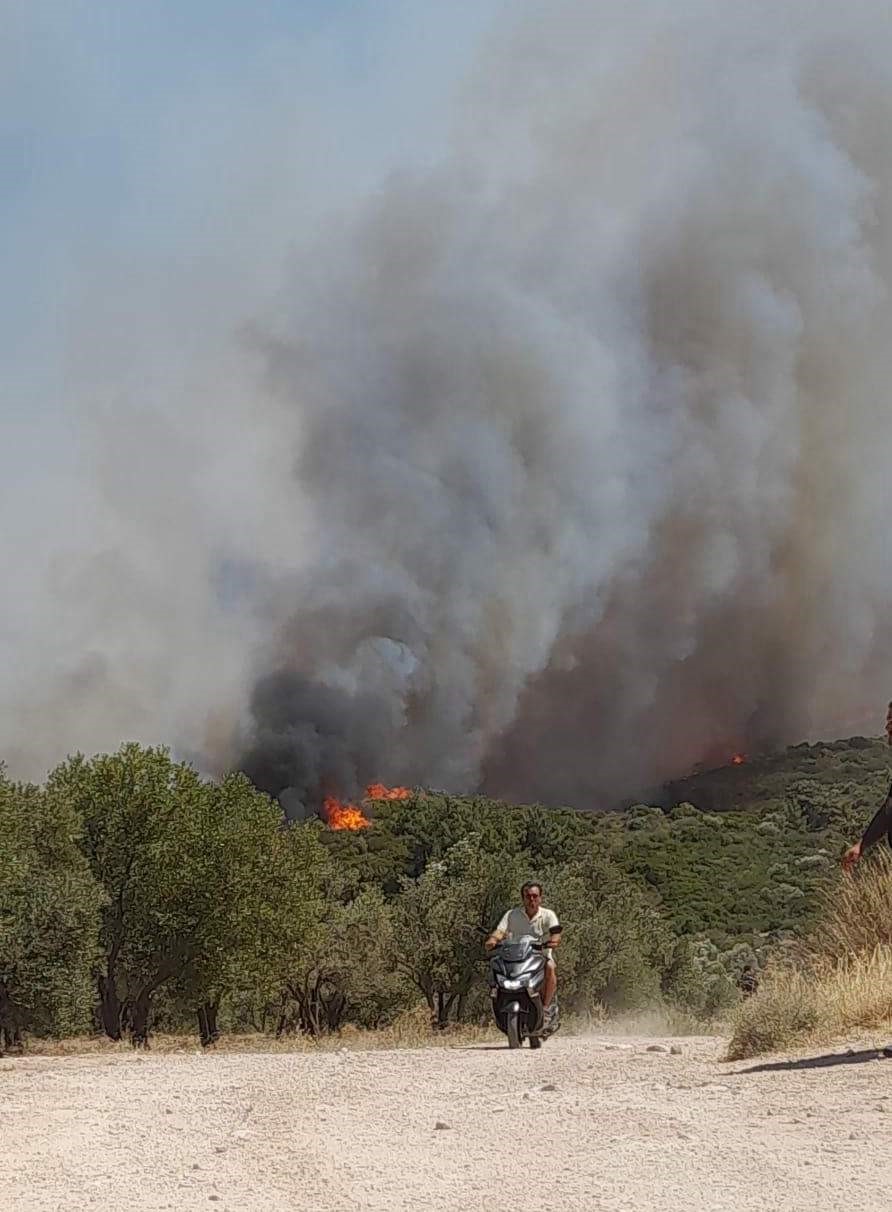 Çeşme’de yangın büyüdü, 5 uçak ve 18 helikopterle müdahele sürüyor 