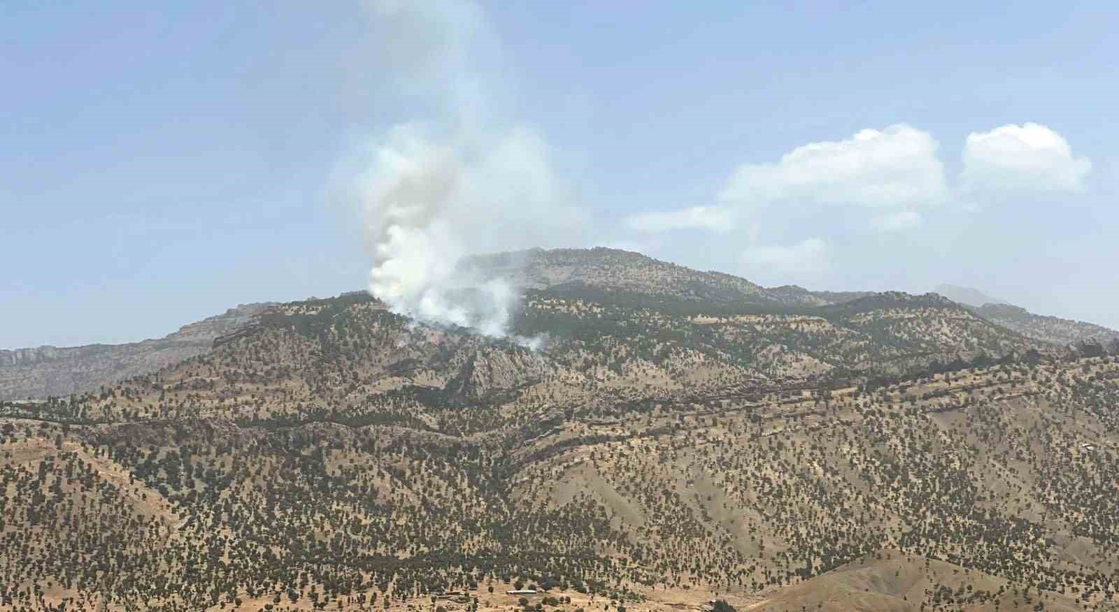 Hakkari’de orman yangını 